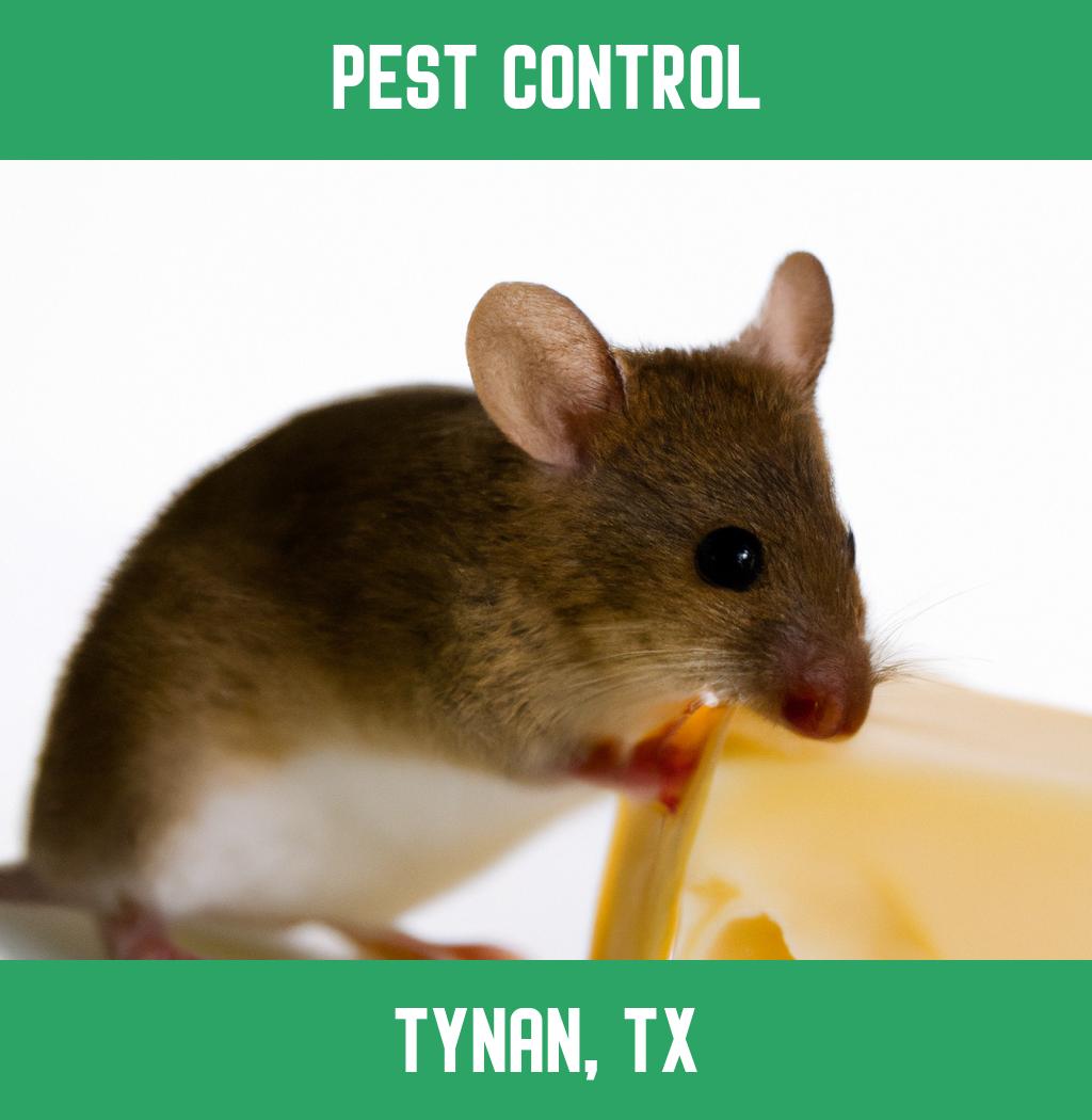pest control in Tynan Texas