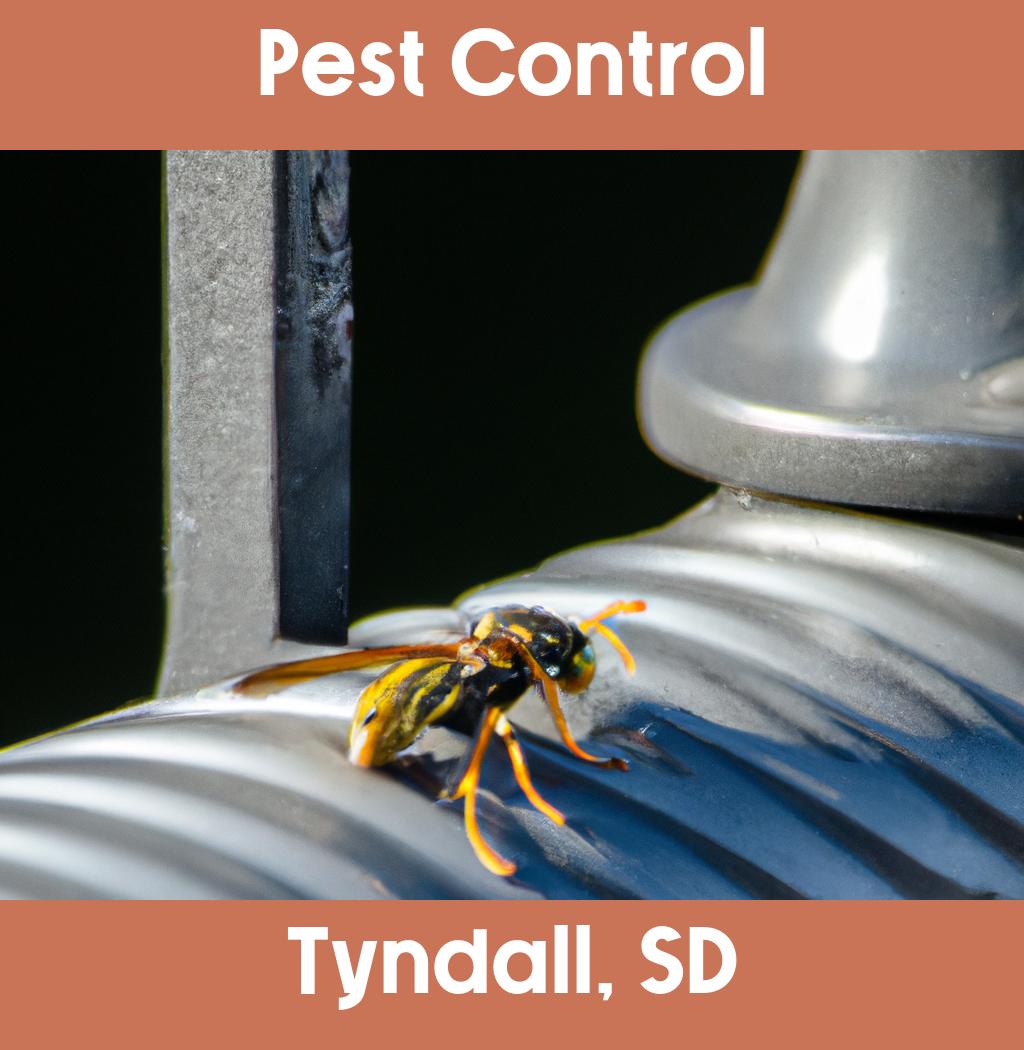 pest control in Tyndall South Dakota