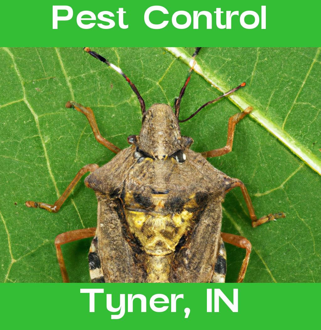 pest control in Tyner Indiana