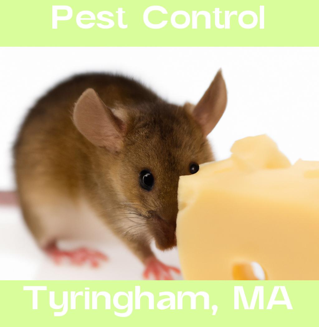 pest control in Tyringham Massachusetts