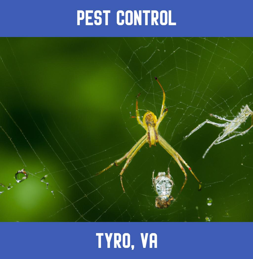 pest control in Tyro Virginia