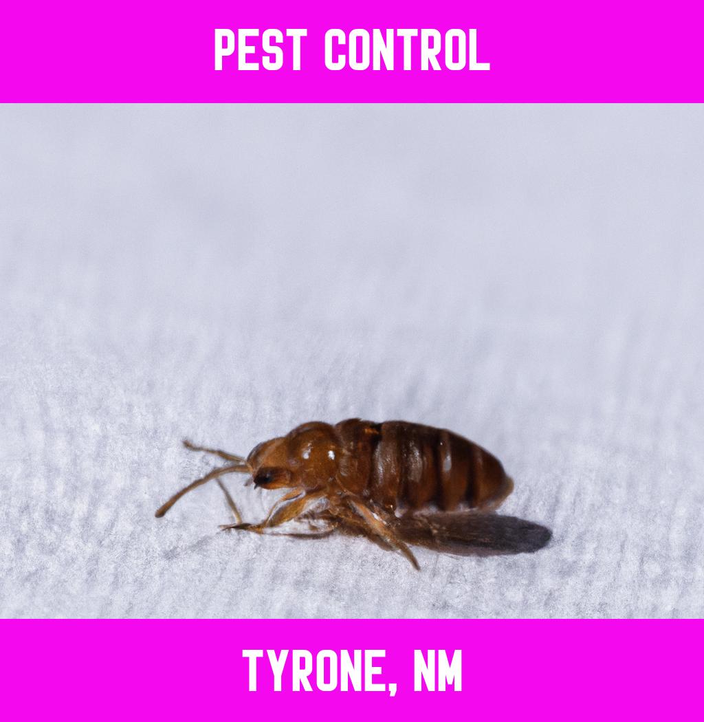 pest control in Tyrone New Mexico