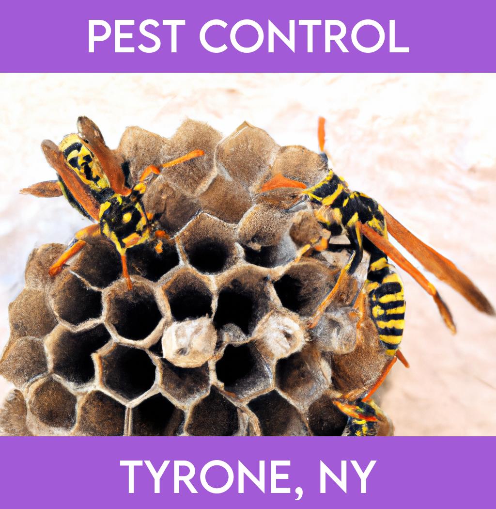 pest control in Tyrone New York