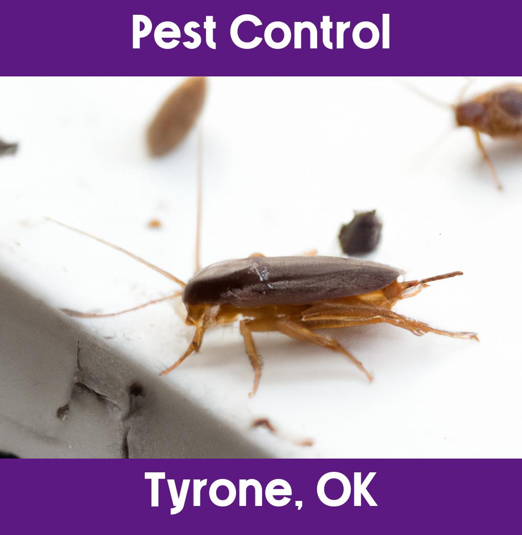 pest control in Tyrone Oklahoma