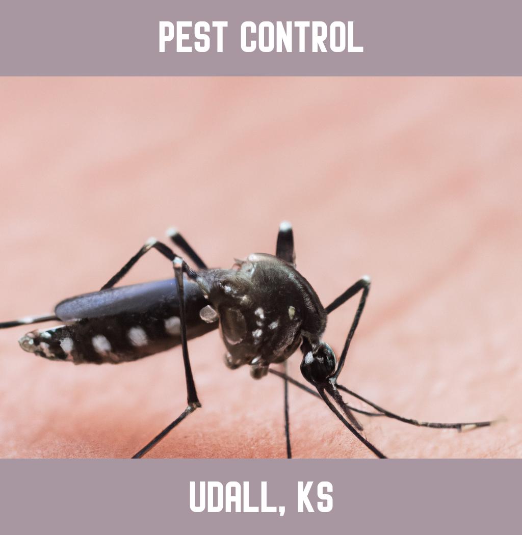 pest control in Udall Kansas