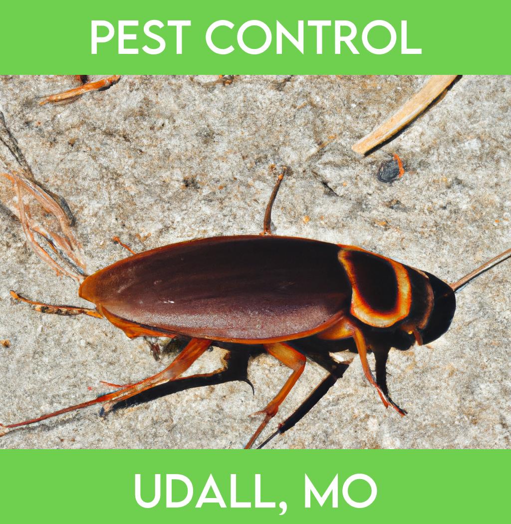 pest control in Udall Missouri