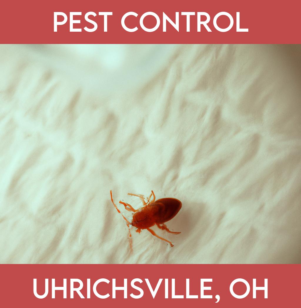 pest control in Uhrichsville Ohio