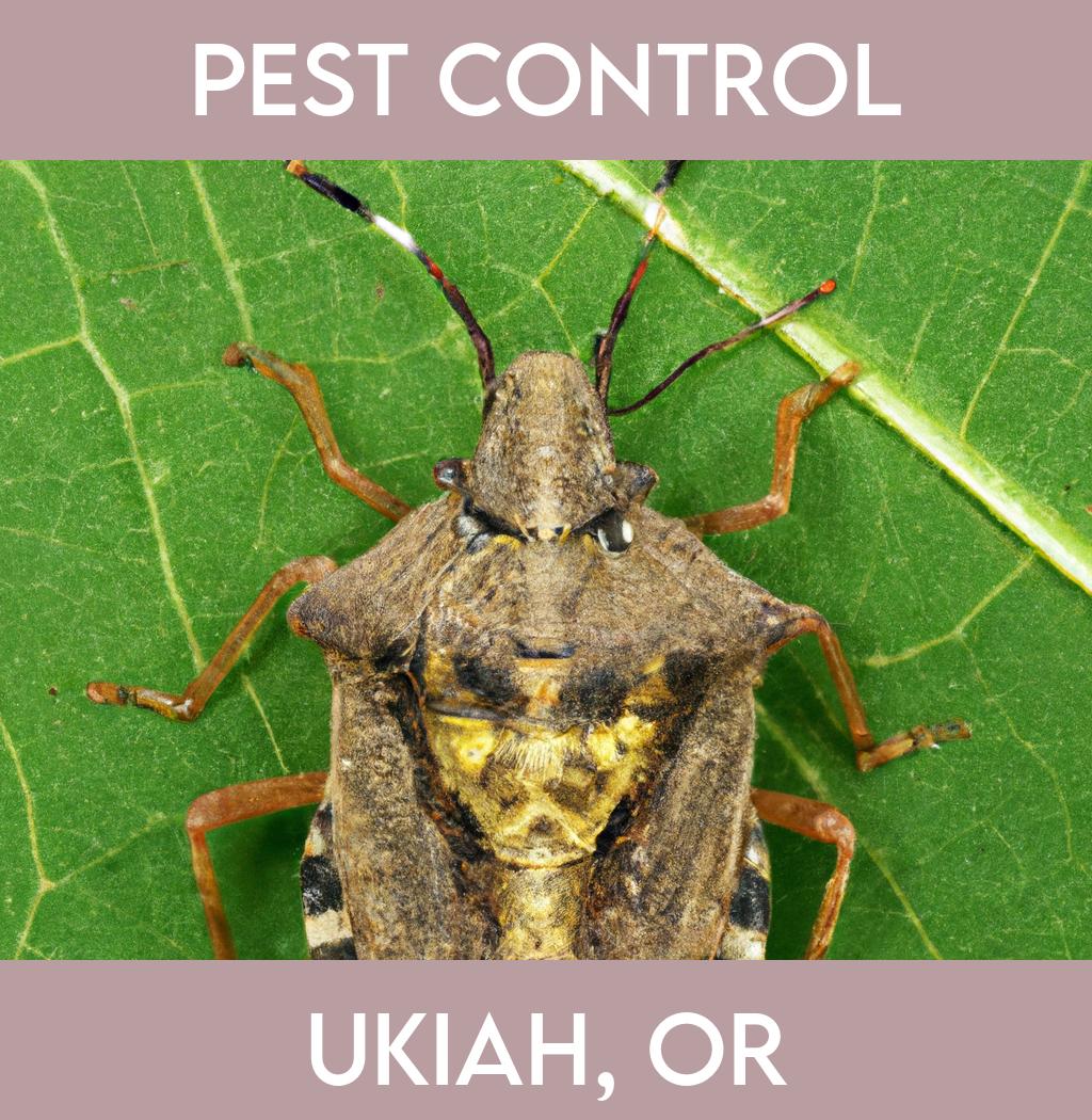 pest control in Ukiah Oregon