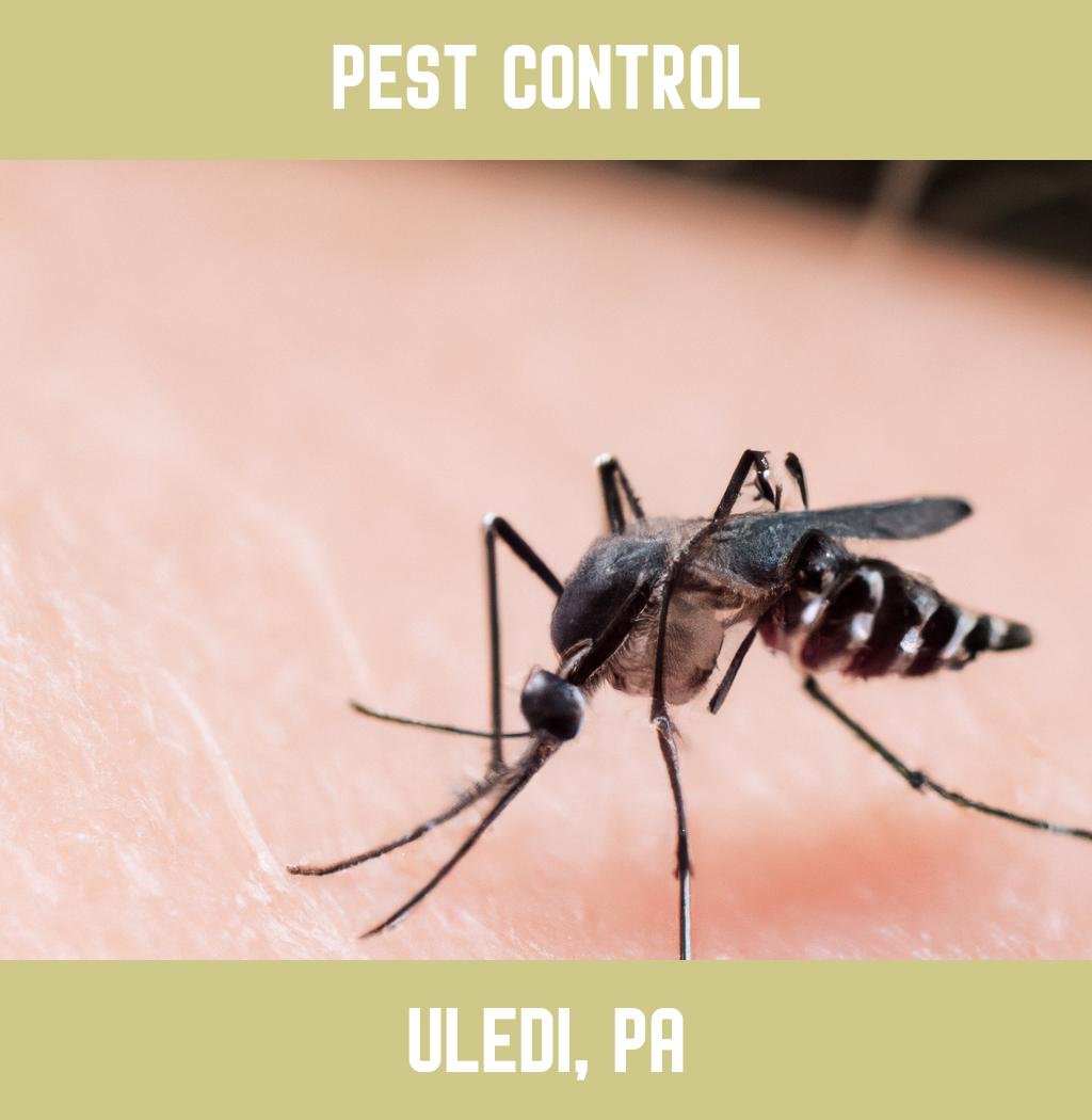 pest control in Uledi Pennsylvania