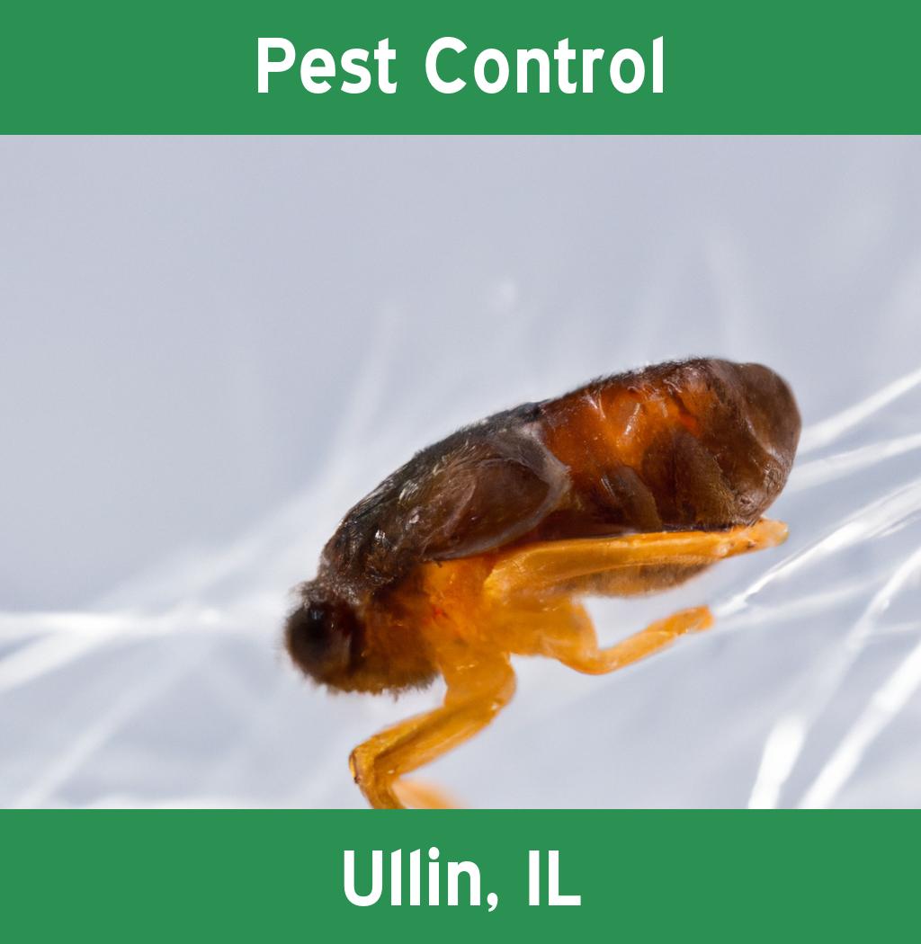 pest control in Ullin Illinois