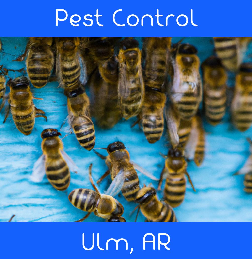 pest control in Ulm Arkansas