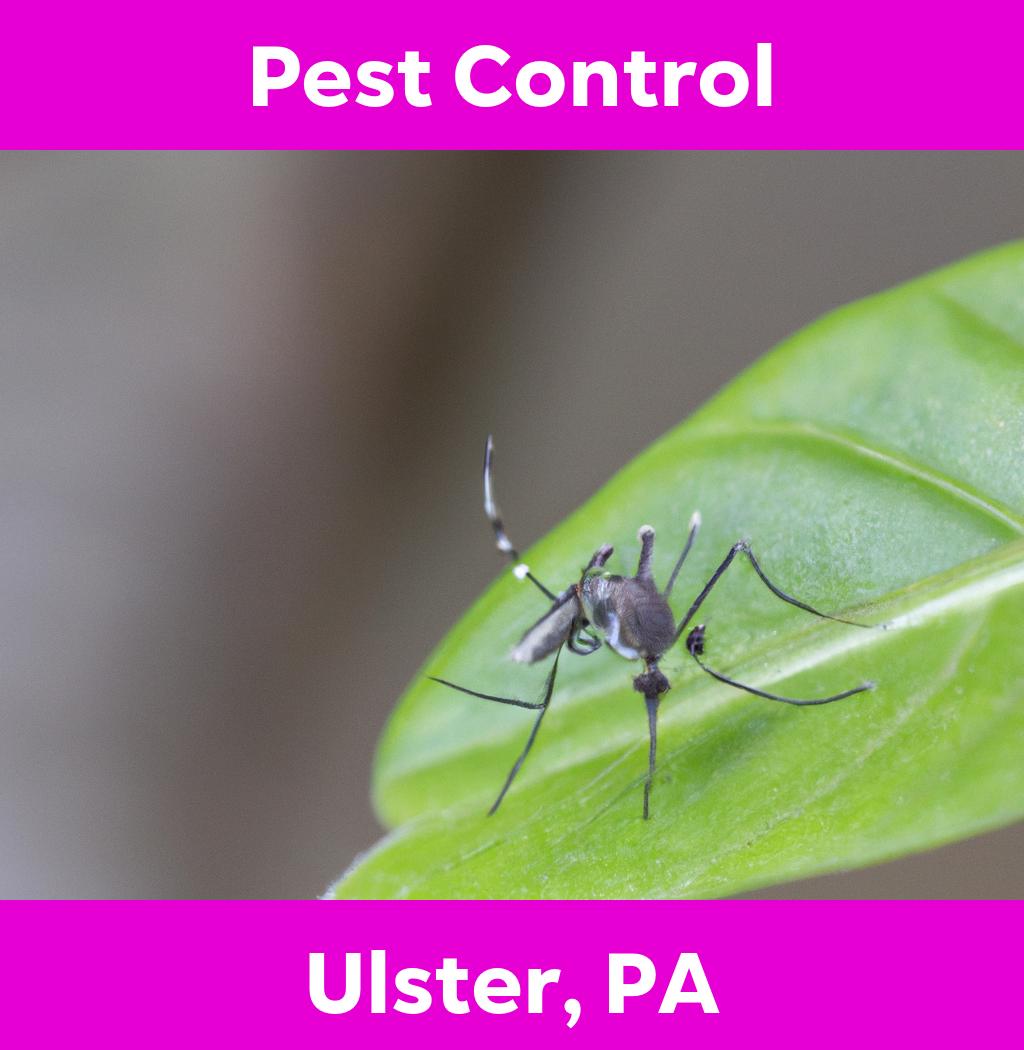 pest control in Ulster Pennsylvania