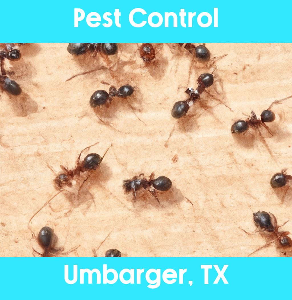 pest control in Umbarger Texas