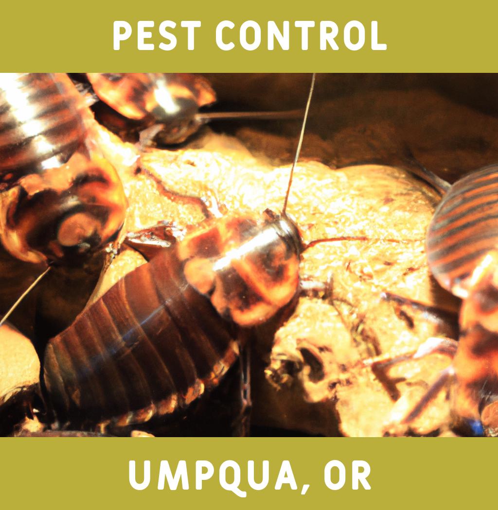 pest control in Umpqua Oregon