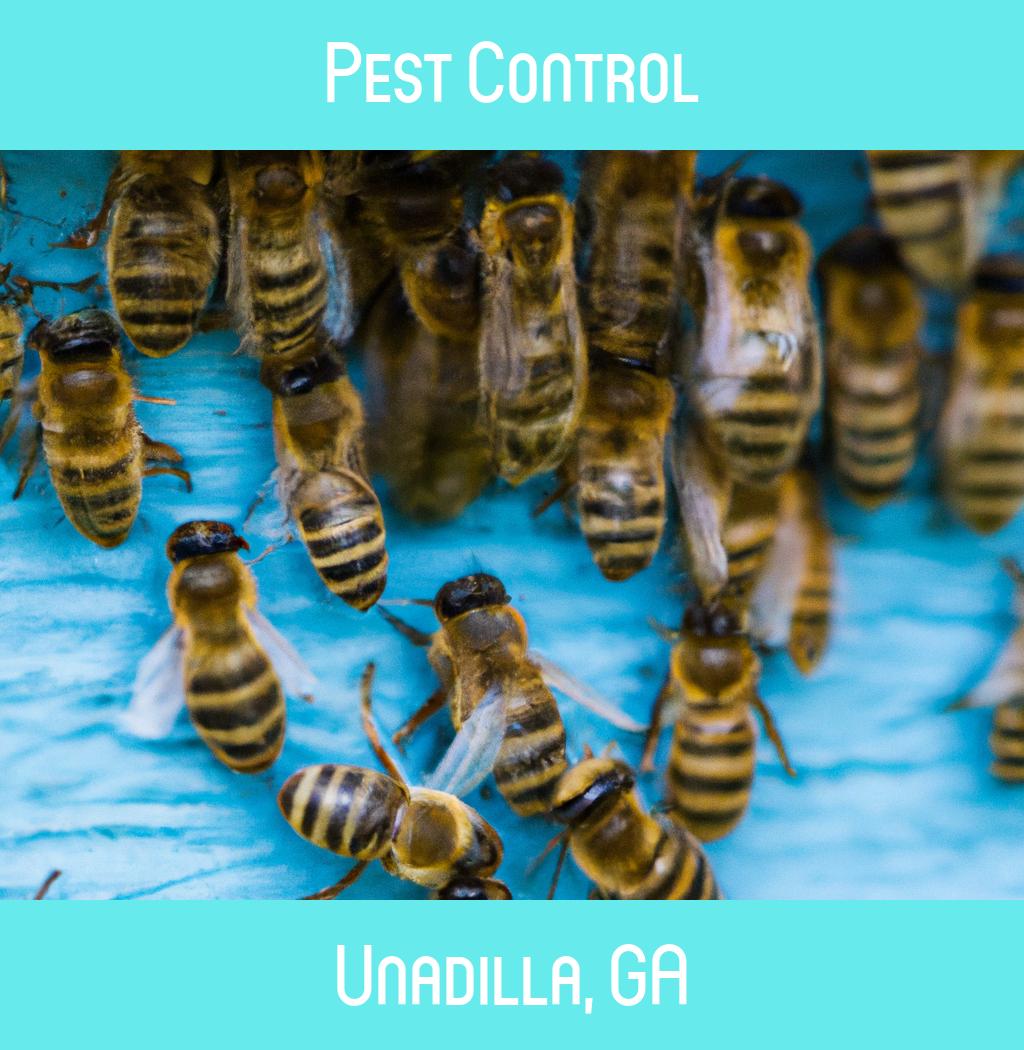 pest control in Unadilla Georgia