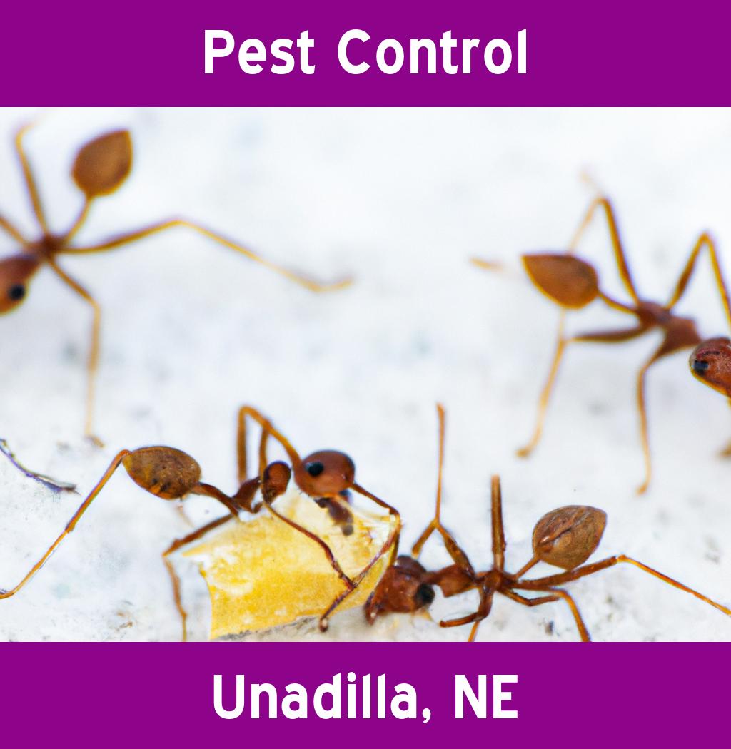 pest control in Unadilla Nebraska