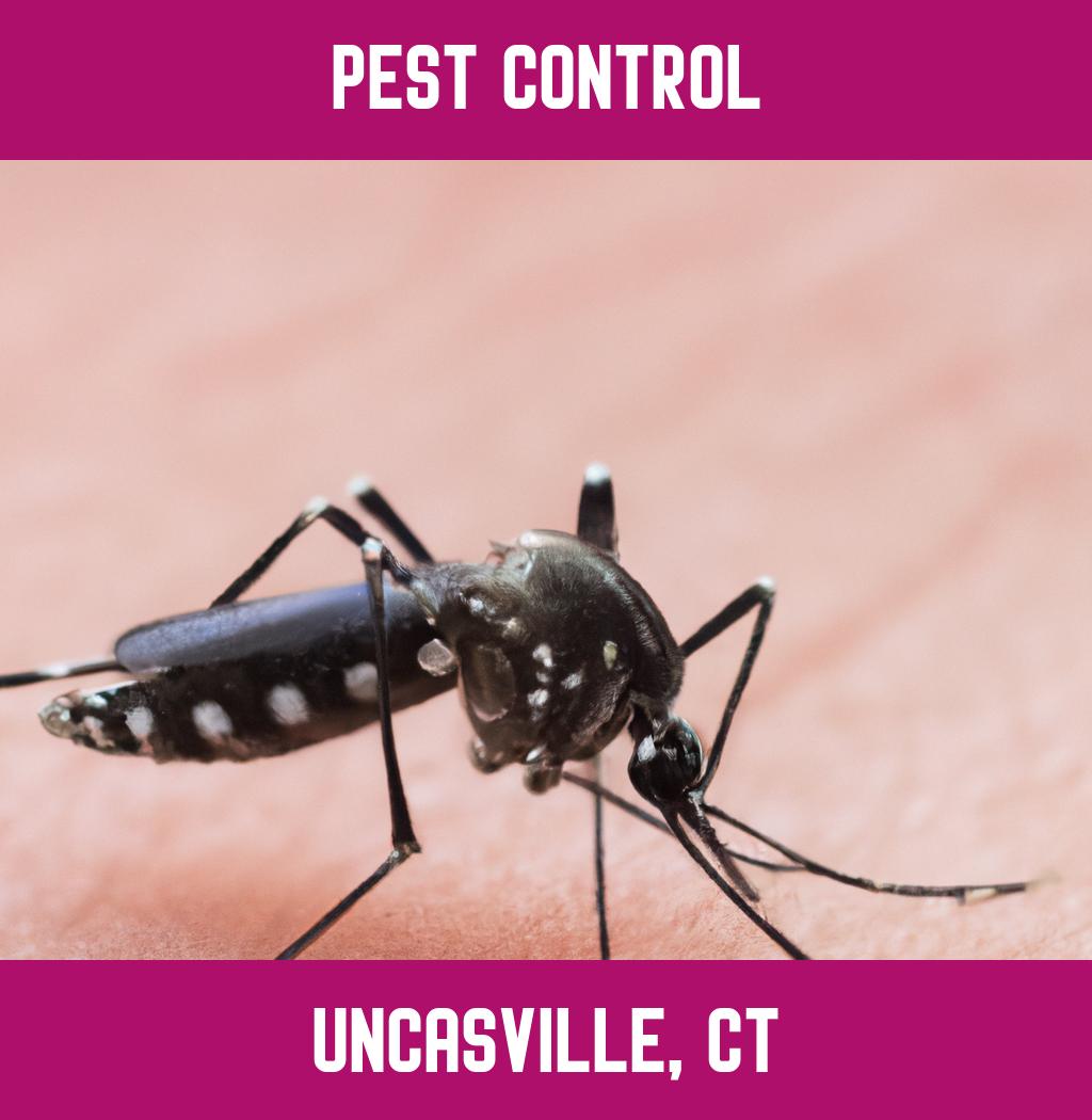 pest control in Uncasville Connecticut