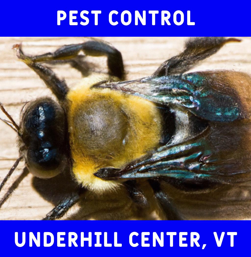 pest control in Underhill Center Vermont