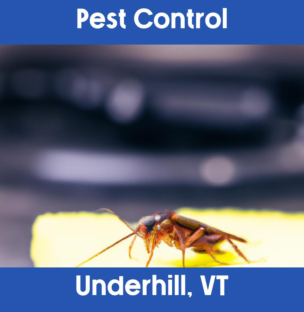 pest control in Underhill Vermont