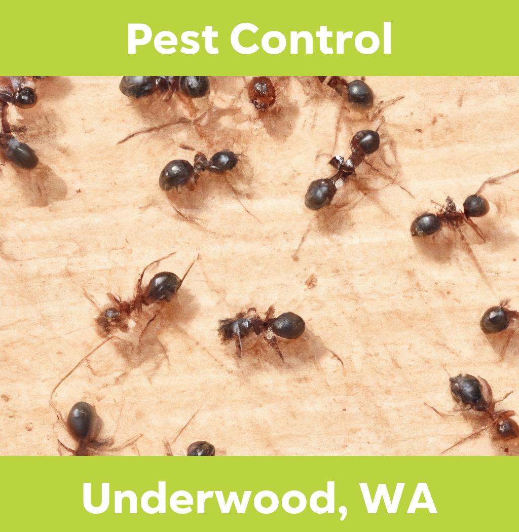 pest control in Underwood Washington