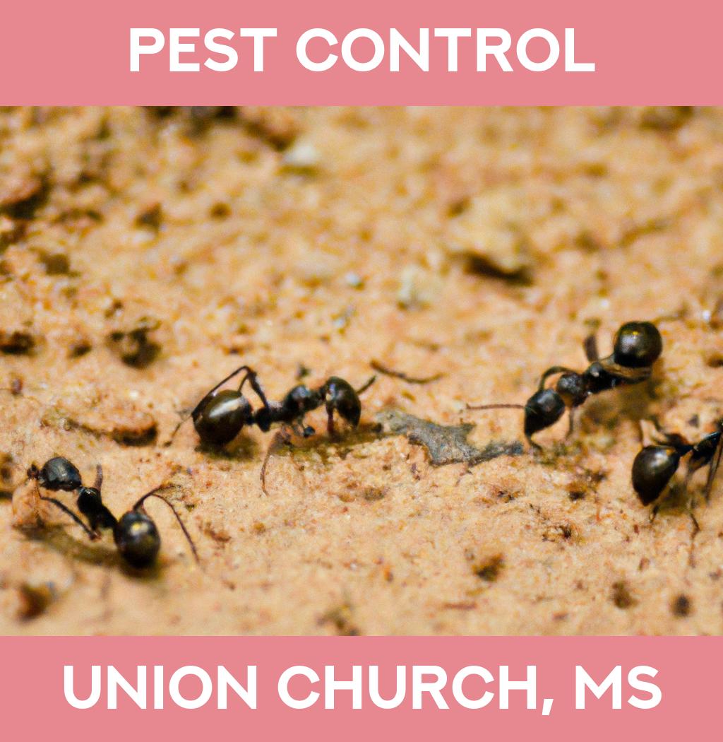 pest control in Union Church Mississippi