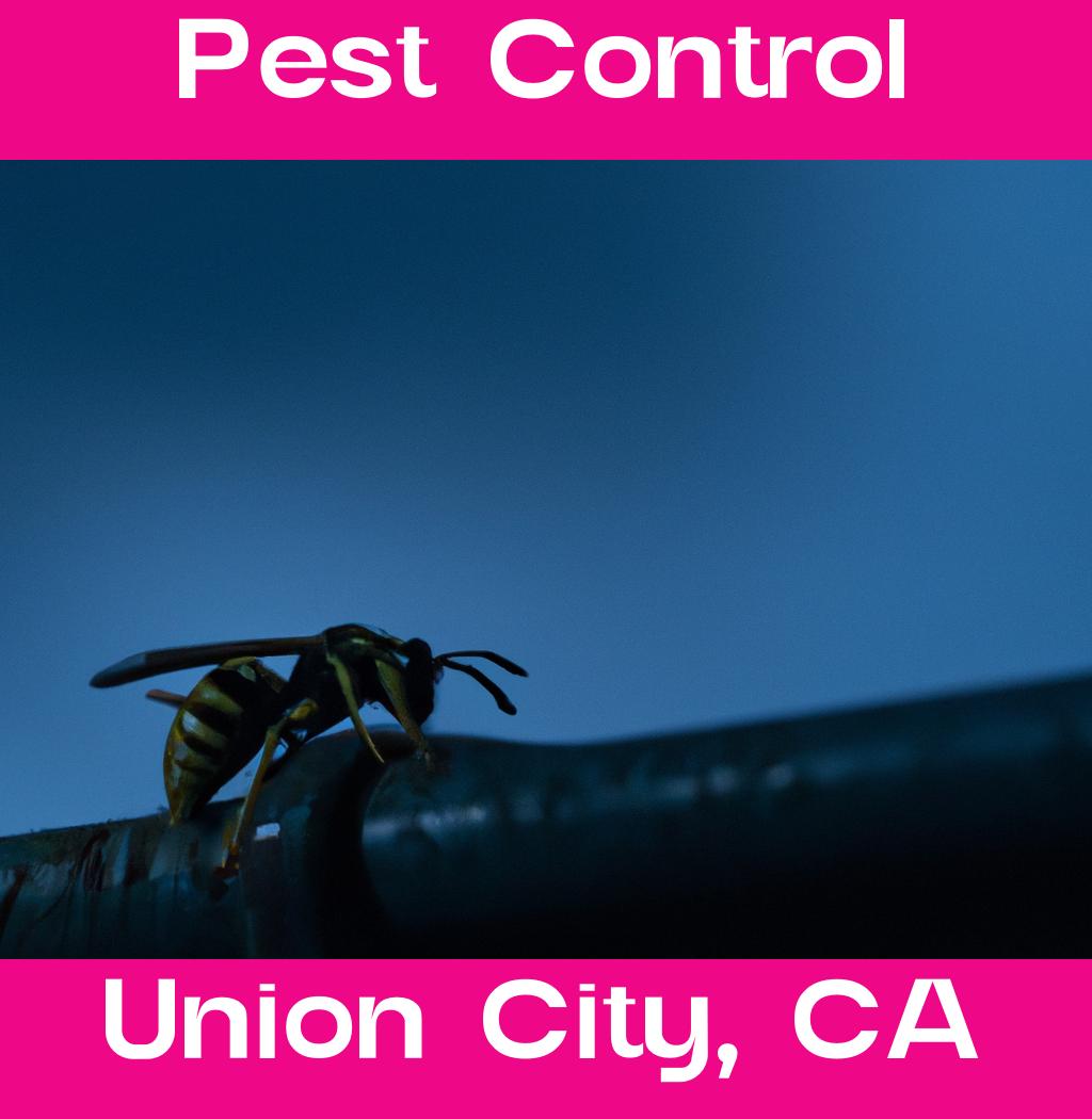 pest control in Union City California