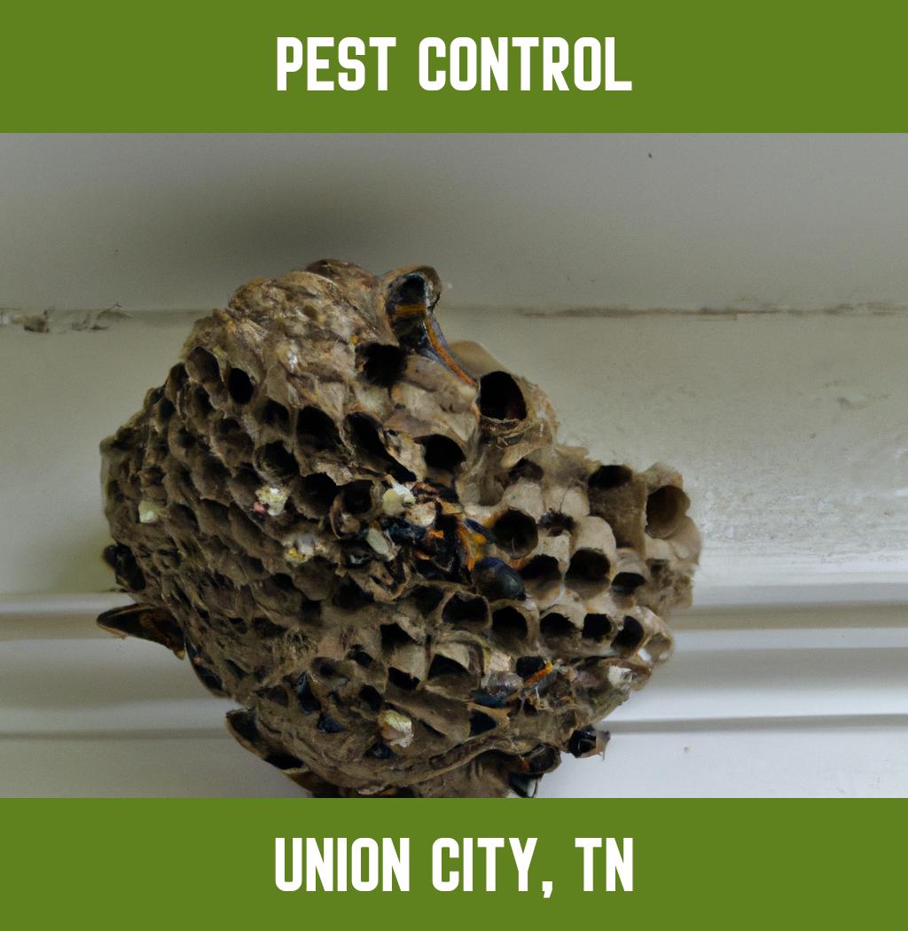 pest control in Union City Tennessee