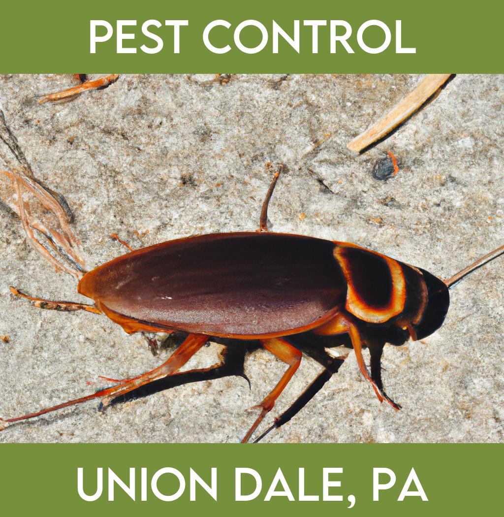 pest control in Union Dale Pennsylvania