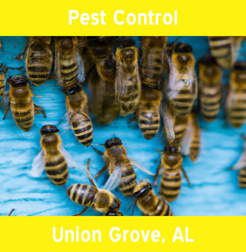 pest control in Union Grove Alabama