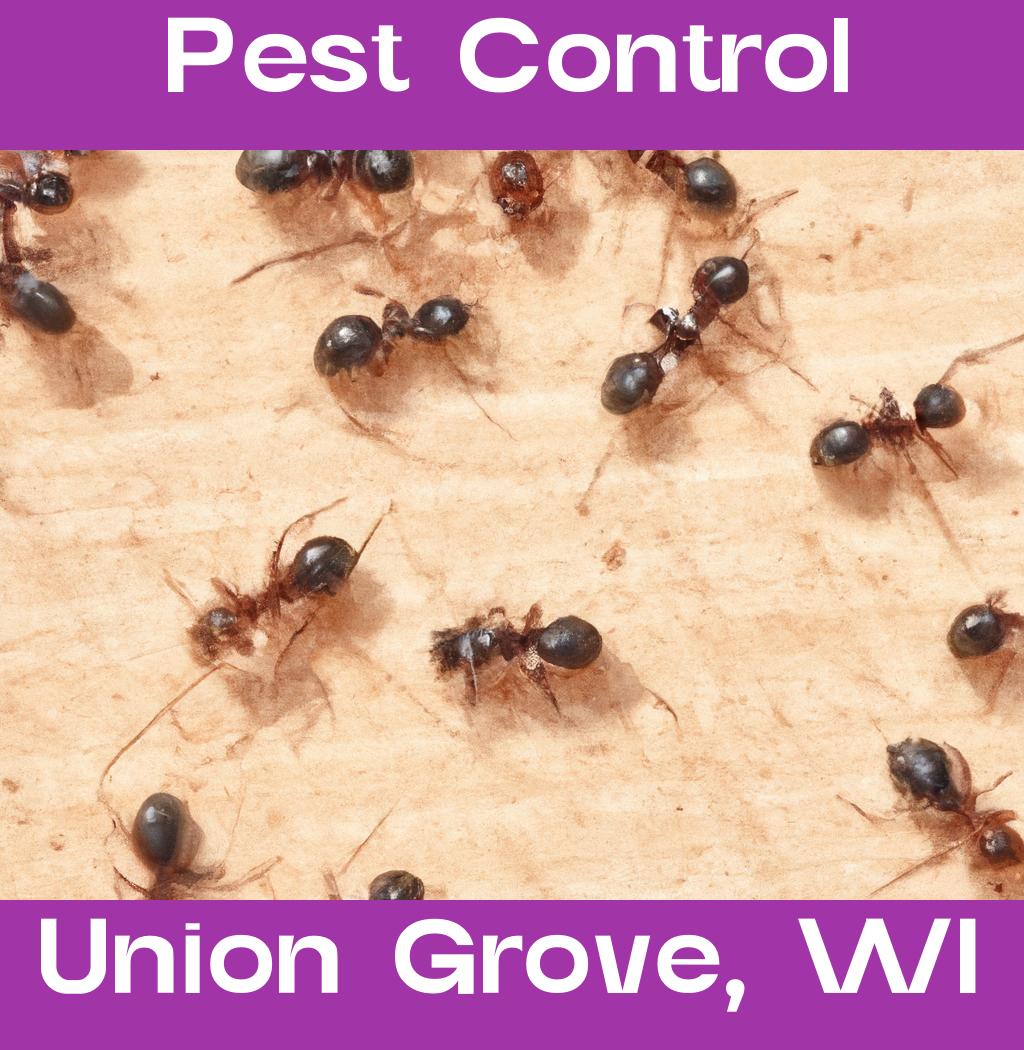 pest control in Union Grove Wisconsin