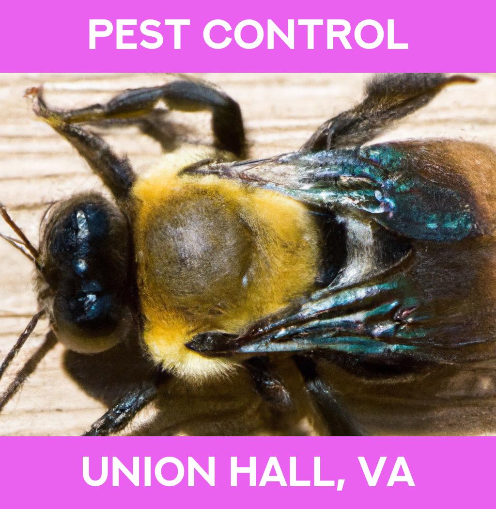 pest control in Union Hall Virginia