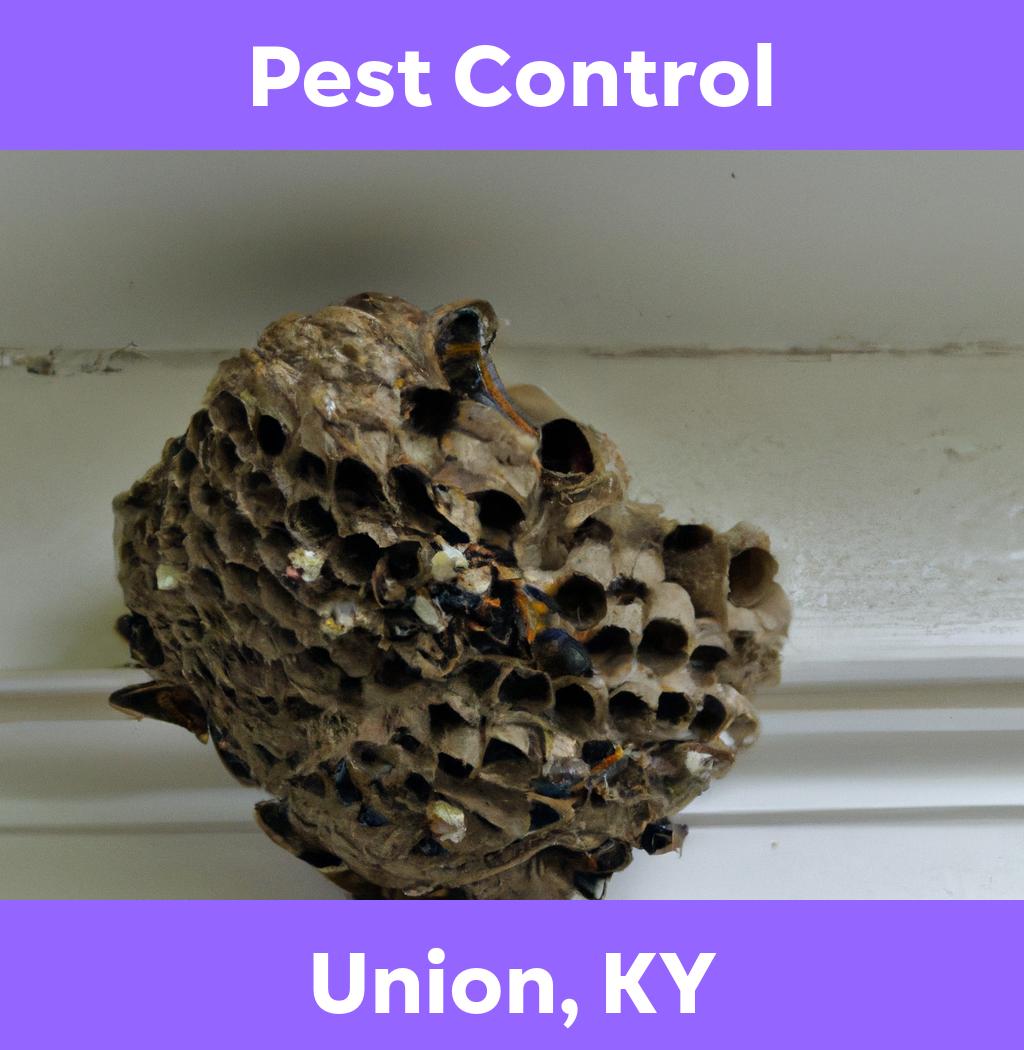 pest control in Union Kentucky