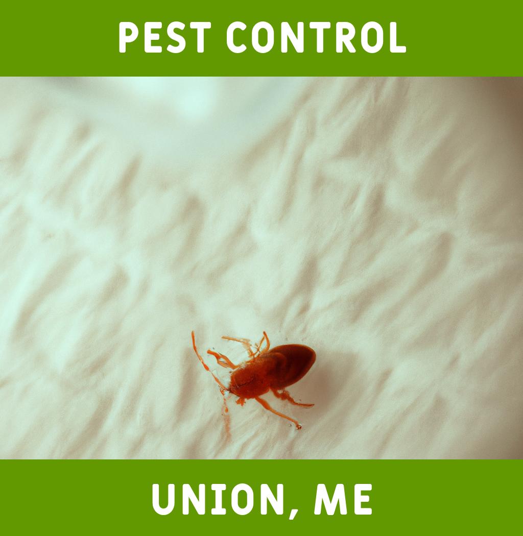 pest control in Union Maine