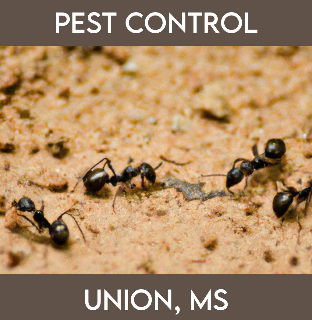 pest control in Union Mississippi
