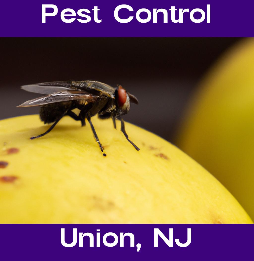 pest control in Union New Jersey