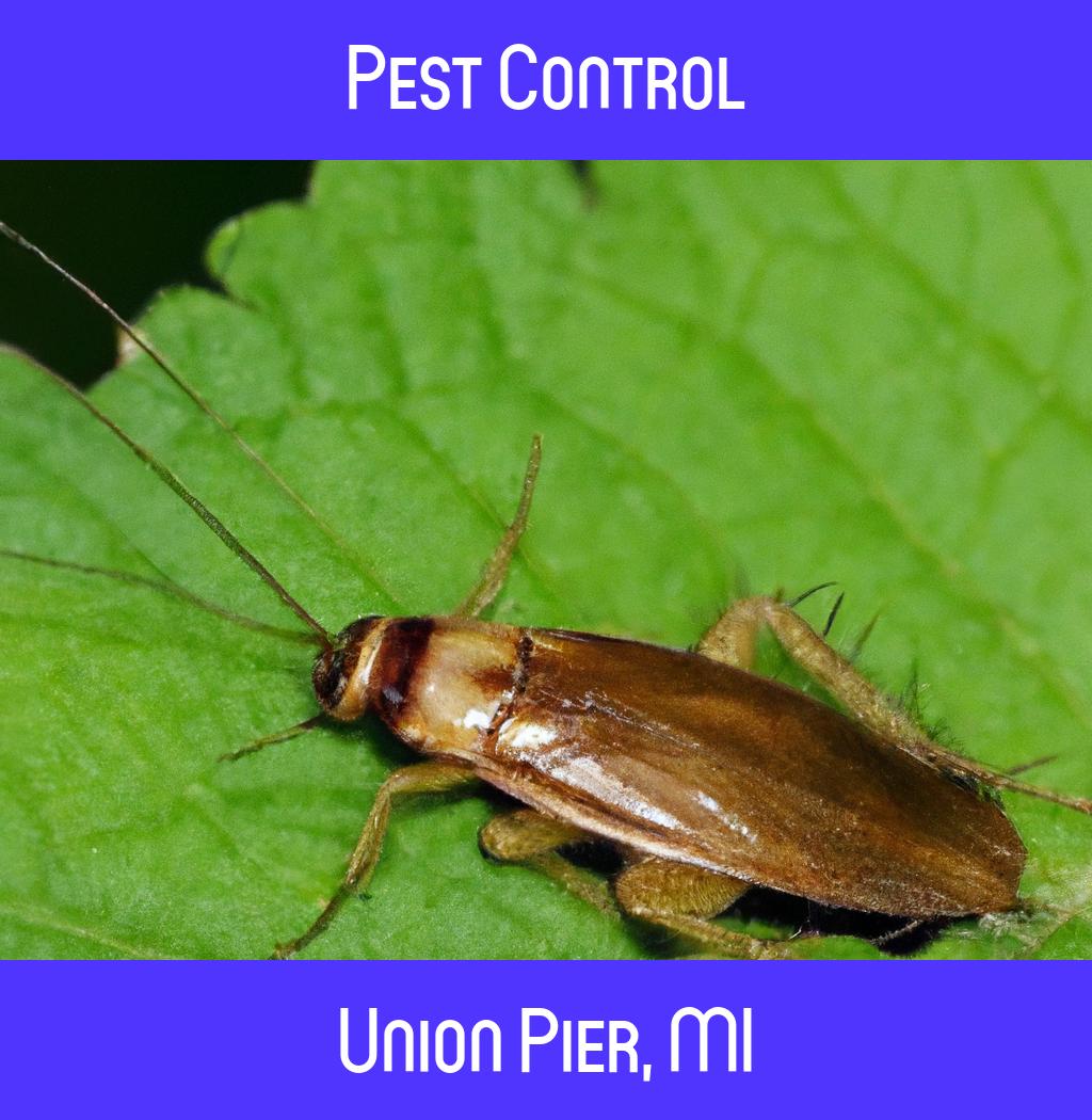 pest control in Union Pier Michigan