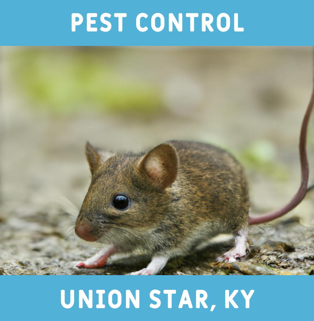 pest control in Union Star Kentucky