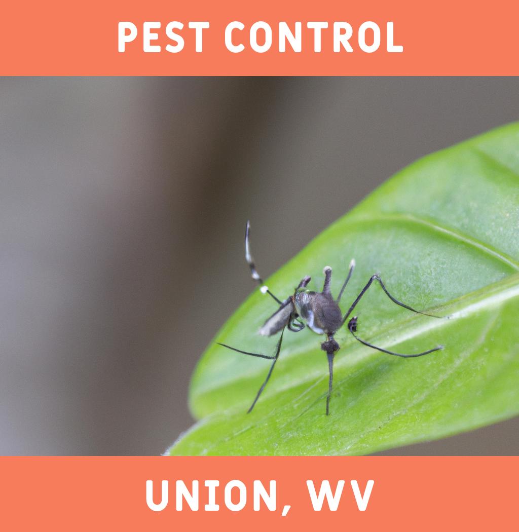 pest control in Union West Virginia