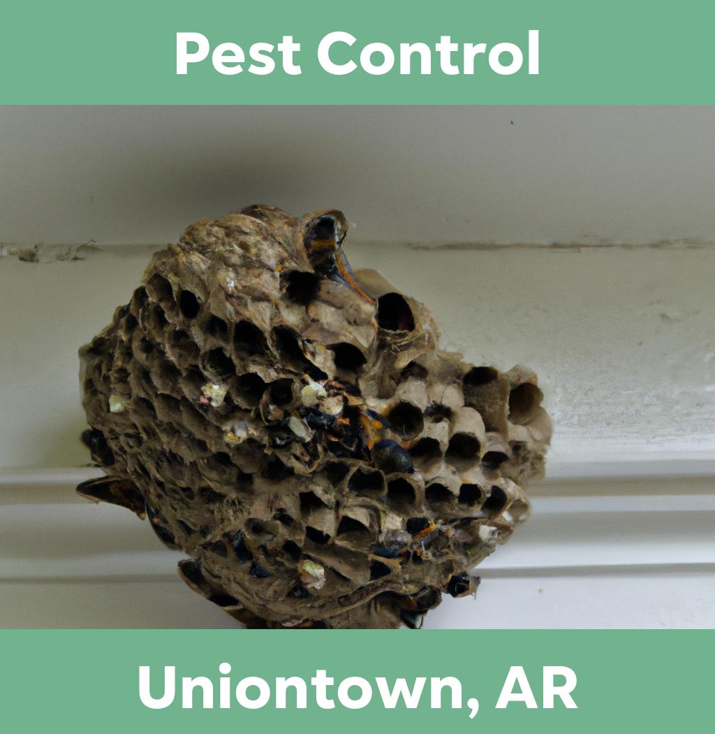 pest control in Uniontown Arkansas