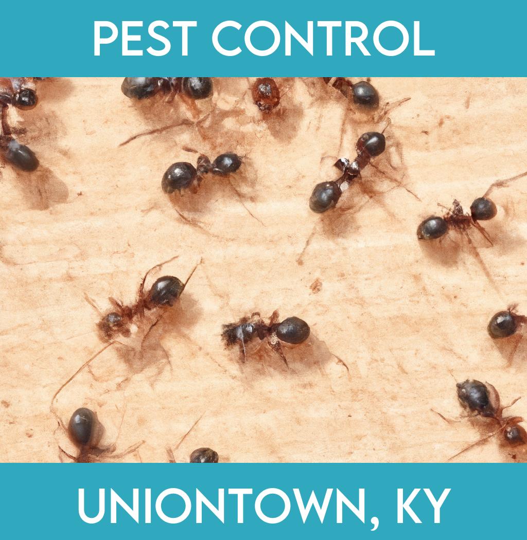 pest control in Uniontown Kentucky