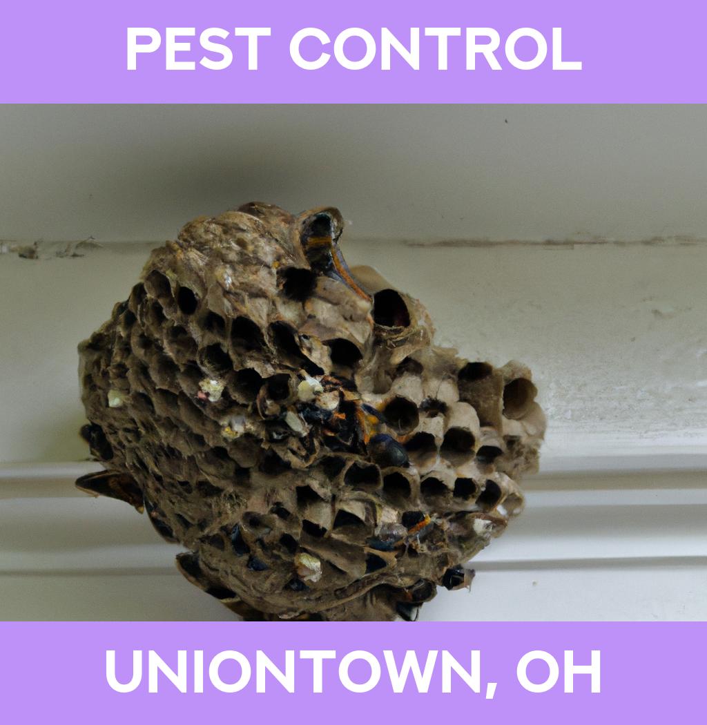 pest control in Uniontown Ohio