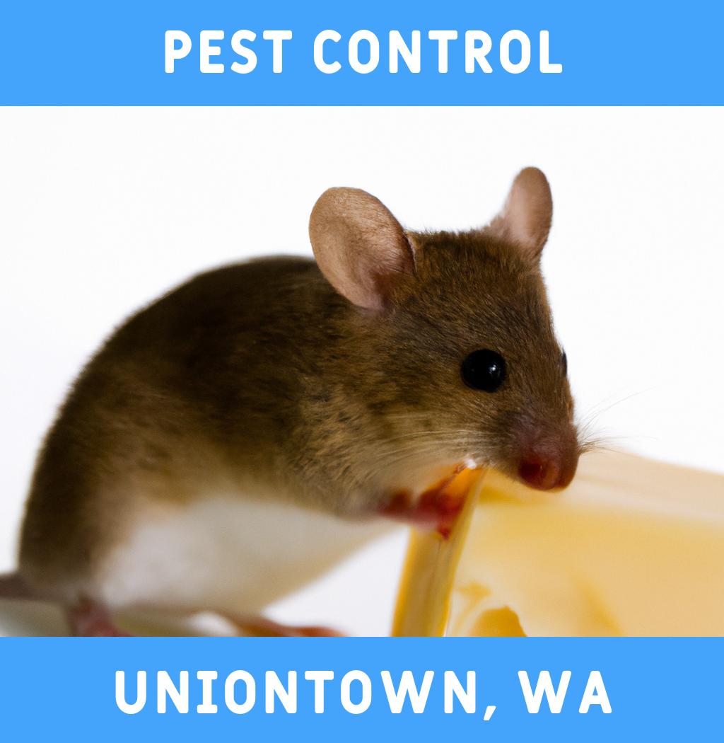 pest control in Uniontown Washington