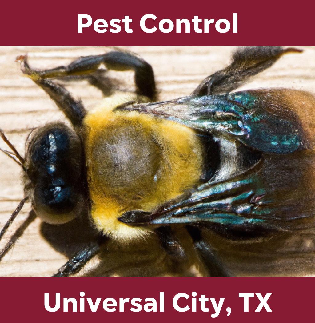 pest control in Universal City Texas