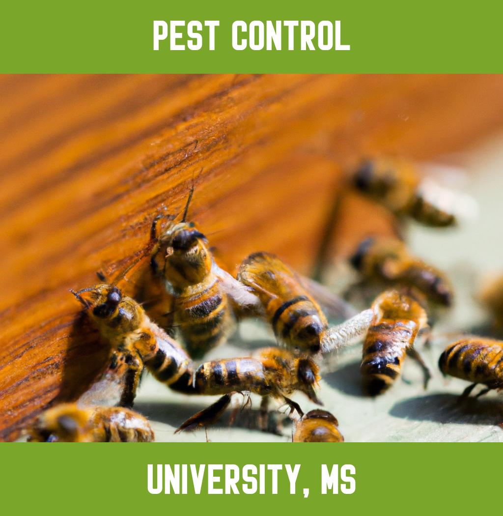 pest control in University Mississippi