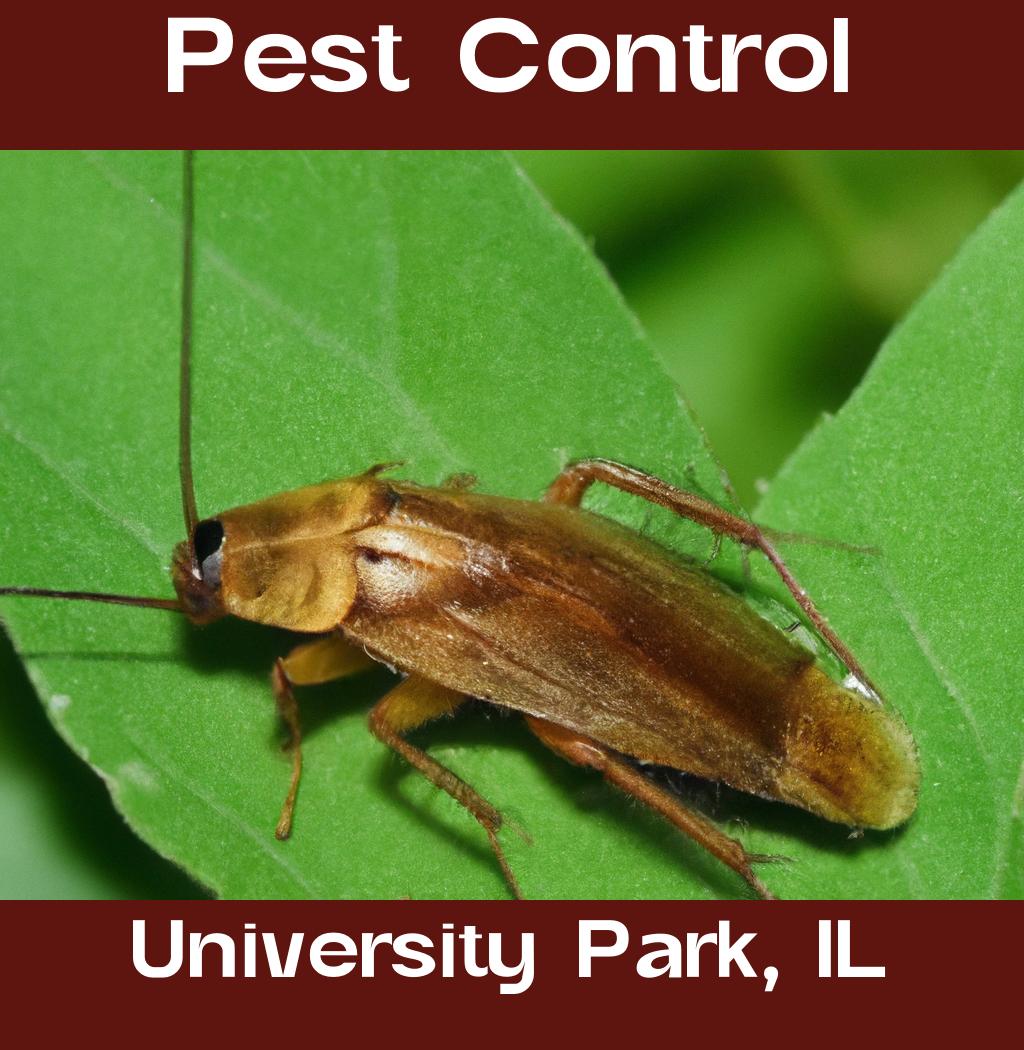 pest control in University Park Illinois