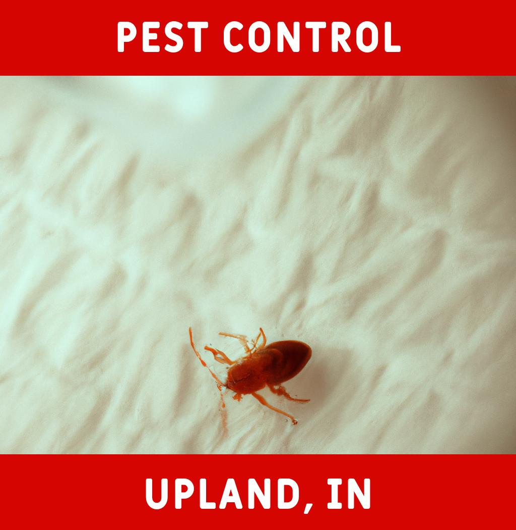 pest control in Upland Indiana