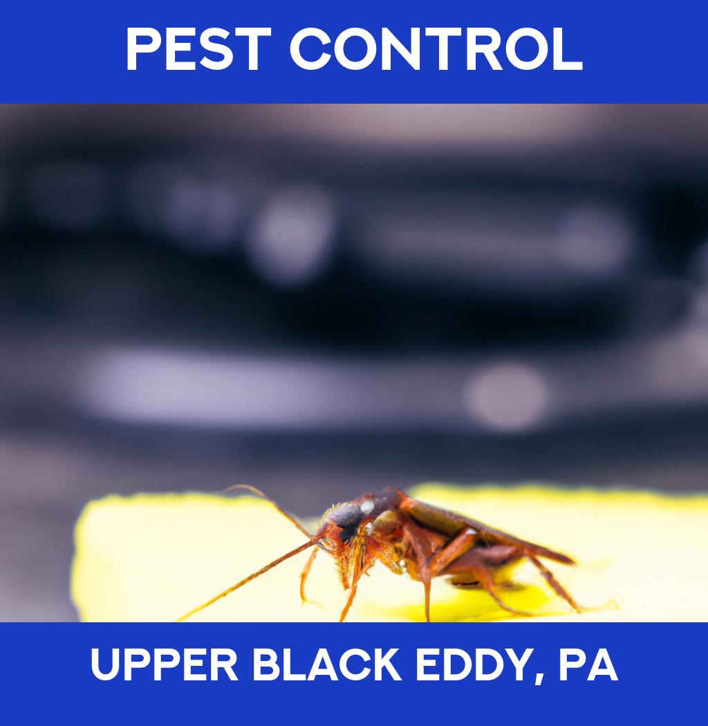 pest control in Upper Black Eddy Pennsylvania
