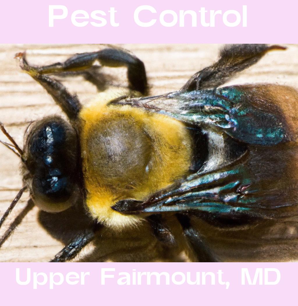 pest control in Upper Fairmount Maryland