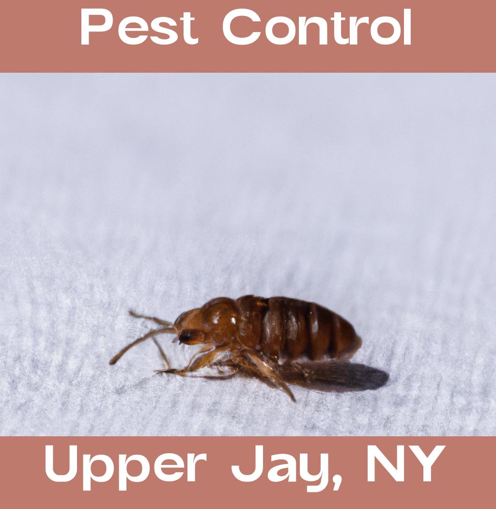 pest control in Upper Jay New York