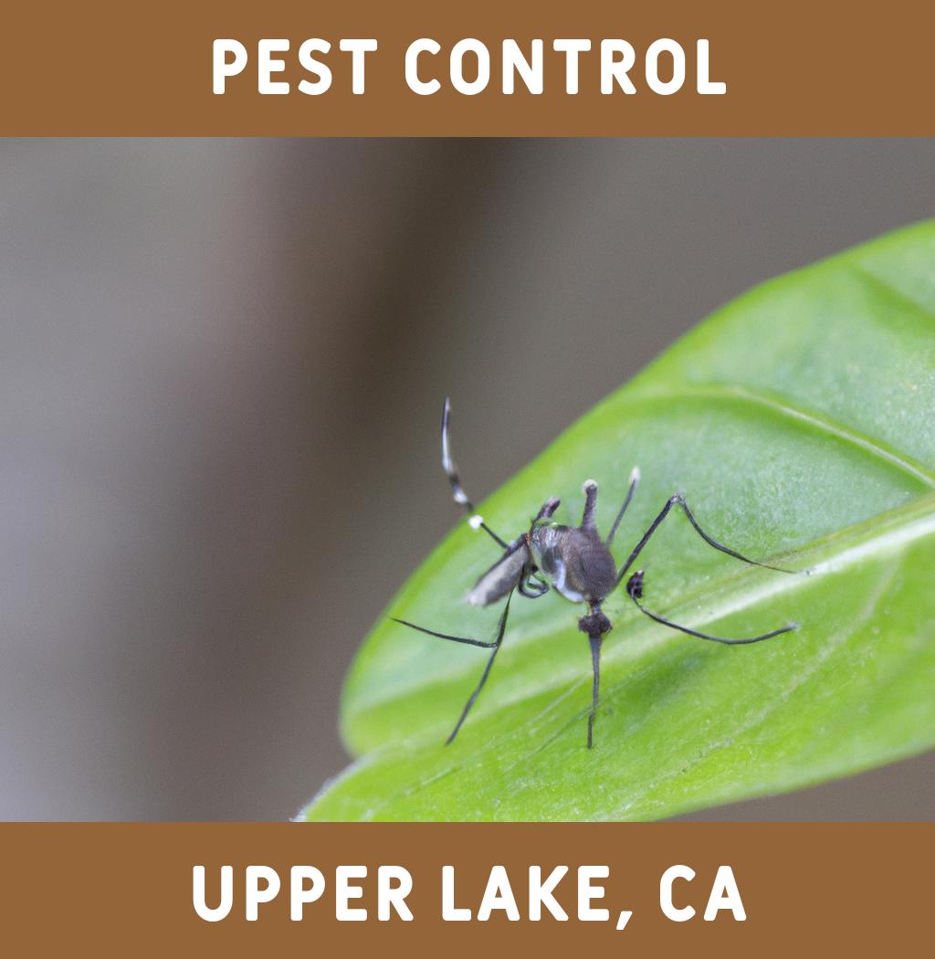 pest control in Upper Lake California